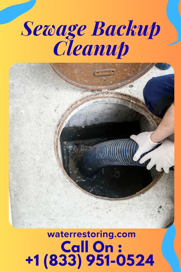 Sewage Backup Cleanup in Columbus, NE